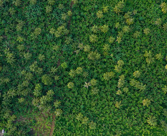 Servicios audiovisuales con drones 9 DJI_0607.jpg