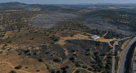 Servicio de Drones para Agricultura 10 banner-agroforestal-3-11-10-22.jpg