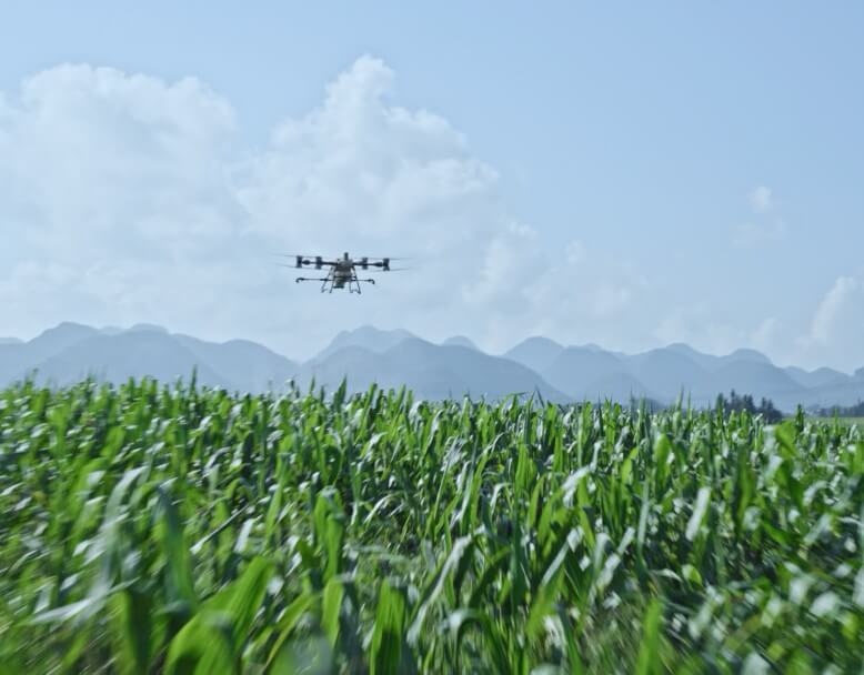 DJI Agras T100 — foto oficial DJI